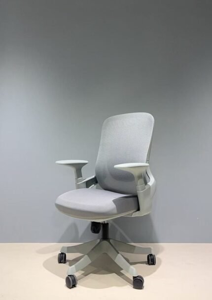 Kabil Mesh Ergonomic Medium Back Chair